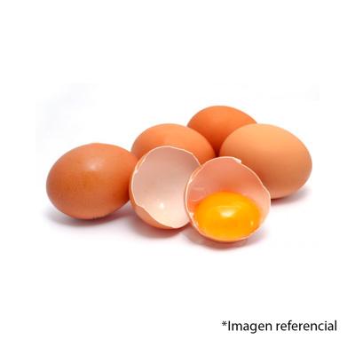 HUEVO GRANDE GALLINA LIBRE UN